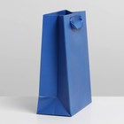 Пакет подарочный ламинированный, упаковка, «Синий», S 12 х 15 х 5.5 см - Фото 2