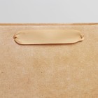 Пакет подарочный ламинированный, упаковка, «Крафтовый», MS 18 х 23 х 10 см - Фото 3