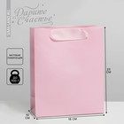 Пакет подарочный ламинированный, упаковка, «Розовый», MS 18 х 23 х 10 см - фото 318778113