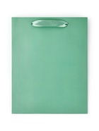 Пакет подарочный ламинированный, упаковка, «Тиффани», MS 18 х 23 х 10 см 7304168