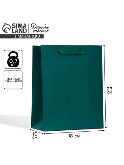 Пакет подарочный ламинированный, упаковка, «Изумрудный», MS 18×23×10 см