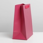 Пакет подарочный ламинированный, упаковка, «Фуксия», MS 18?23?10 см (комплект 2 шт) - фото 33721668