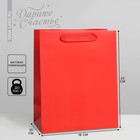 Пакет подарочный ламинированный, упаковка, «Красный», MS 18 х 23 х 10 см - фото 3038093