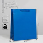 Пакет подарочный ламинированный, упаковка, «Синий», ML 23 х 27 х 11.5 см - фото 318778323