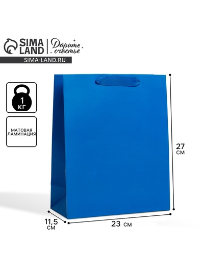 Пакет подарочный ламинированный, упаковка, «Синий», ML 23×27×11.5 см