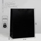 Пакет ламинированный «Чёрный», ML 23 × 27 × 11.5 см - фото 11050145