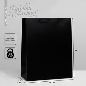 Пакет подарочный ламинированный, упаковка, «Чёрный», ML 23 х 27 х 11.5 см