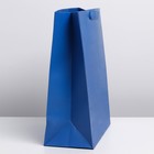 Пакет подарочный ламинированный, упаковка, «Синий», M 26 х 30 х 9 см - Фото 2
