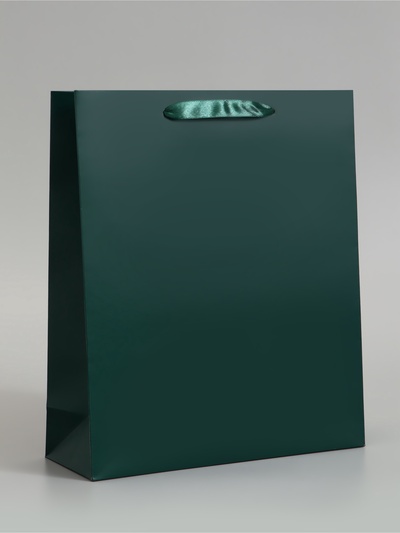 Пакет подарочный ламинированный, упаковка, «Изумрудный», M 26×30×9 см