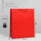 Пакет подарочный ламинированный, упаковка, «Красный», M 26 х 30 х 9 см - фото 320872908