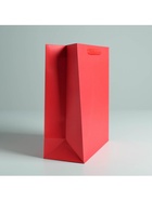 Пакет подарочный ламинированный, упаковка, «Красный», M 25.5 х 30 х 9 см, МИКС 7304190