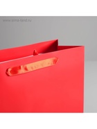 Пакет подарочный ламинированный, упаковка, «Красный», M 25.5 х 30 х 9 см, МИКС 7304190