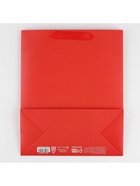 Пакет подарочный ламинированный, упаковка, «Красный», M 25.5 х 30 х 9 см, МИКС 7304190