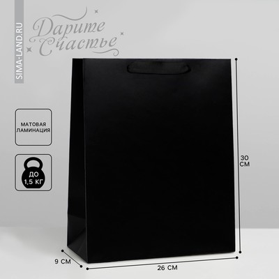 Пакет подарочный ламинированный, упаковка, «Чёрный», M 26 х 30 х 9 см