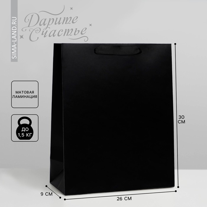 Пакет подарочный ламинированный, упаковка, «Чёрный», M 26 х 30 х 9 см - Фото 1