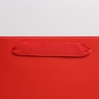 Пакет подарочный ламинированный, упаковка, «Красный», L 31 х 40 х 11.5 см - Фото 3