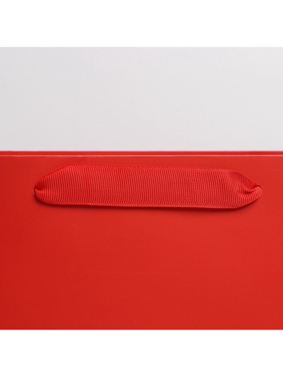 Пакет подарочный ламинированный, упаковка, «Красный», L 31×40×11.5 см