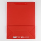 Пакет подарочный ламинированный, упаковка, «Красный», L 31 х 40 х 11.5 см - Фото 4