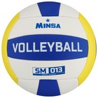 Мяч волейбольный MINSA SM 013, ПВХ, машинная сшивка, 18 панелей, р. 5 - Фото 5