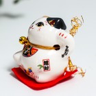 Сувенир керамика "Манэки-нэко - удовольствие" 4,5х3,8х4,6 см набор 5 шт - фото 7343285