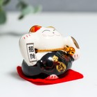 Сувенир керамика "Манэки-нэко - наслаждение" 4,5х3,8х4,6 см набор 5 шт - фото 6543153
