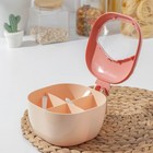 Банка пластиковая для сыпучих продуктов «Ананас», 4 отделения, с ложками, 16,5×14×9 см, цвет МИКС 7370962 - фото 16434008