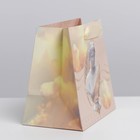Пакет подарочный ламинированный квадратный, упаковка, «Нимфа», 14 х 14 х 9 см - Фото 2