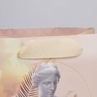 Пакет подарочный ламинированный квадратный, упаковка, «Нимфа», 14 х 14 х 9 см - Фото 3