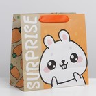 Пакет подарочный крафтовый квадратный, упаковка, «Suprise», 22 х 22 х 11 см - фото 319992884