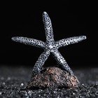 Морская звезда на подставке, 7,5 х 3,5 х 8 см, синяя - фото 9572177