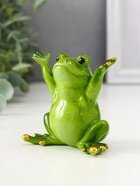 Фигурка полистоун лак «Лягуха - приветствие», 8×6×8 см, МИКС - Фото 5