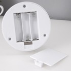 Светильник сенсорный «Дельфины» LED 7 цветов USB/от батареек белый RISALUX 6923339 - фото 9572610