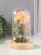 Фигурка светящаяся колба RISALUX «Пион малый», LED-ночник, от батареек 3хLR1130, розово-бежевый, 10×10×20 см - Фото 13