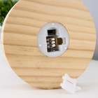 Фигурка светящаяся колба RISALUX «Пион малый», LED-ночник, от батареек 3хLR1130, розово-бежевый, 10×10×20 см - Фото 8
