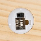 Ночник-колба "Пион малый" LED от батареек 3хLR1130 розово-бежевый 9,5х9,5х16,5 см RISALUX     736365 - Фото 9