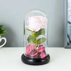 Ночник колба "Розовая роза" LED 3AAA 8х8х17 см RISALUX - фото 9028045