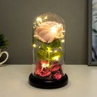 Фигурка светящаяся колба RISALUX «Розовая роза», LED-ночник, 3AAA 8×8×17 см - Фото 3