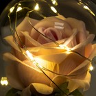 Ночник колба "Розовая роза" LED 3AAA 8х8х17 см RISALUX - Фото 4