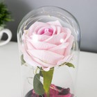 Ночник колба "Розовая роза" LED 3AAA 8х8х17 см RISALUX - Фото 6
