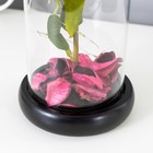 Фигурка светящаяся колба RISALUX «Розовая роза», LED-ночник, 3AAA 8×8×17 см - Фото 7