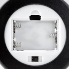 Фигурка светящаяся колба RISALUX «Розовая роза», LED-ночник, 3AAA 8×8×17 см - Фото 9