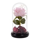 Ночник колба "Розовая роза" LED 3AAA 8х8х17 см RISALUX - Фото 10