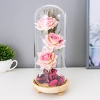 Фигурка светящаяся колба RISALUX «Три розы», LED-ночник, 3×AAA, 12×12×28.5 см - Фото 1