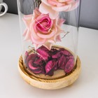 Фигурка светящаяся колба RISALUX «Три розы», LED-ночник, 3×AAA, 12×12×28.5 см - Фото 8