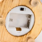 Фигурка светящаяся колба RISALUX «Три розы», LED-ночник, 3×AAA, 12×12×28.5 см - Фото 9