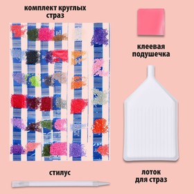 

Алмазная мозаика с частичным заполнением на подрамнике «Цветы» 30х40 см