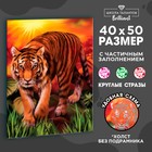 Алмазная мозаика с частичным заполнением «Тигр на закате» без рамы 40х50 см - фото 9573327
