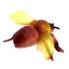 Набор животных «Жуки и пауки» - фото 21489219