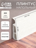 Клен патина
