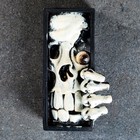 Держатель-подставка для книг "Скелет", черно-белый - фото 6544204